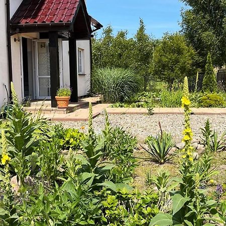 Pokoje Goscinne Neptunia Rusinowo  Εξωτερικό φωτογραφία