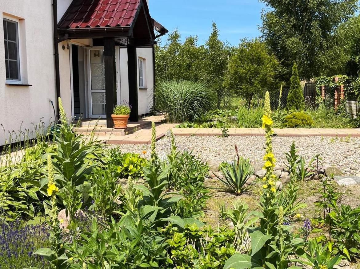 Pokoje Goscinne Neptunia Rusinowo  Εξωτερικό φωτογραφία